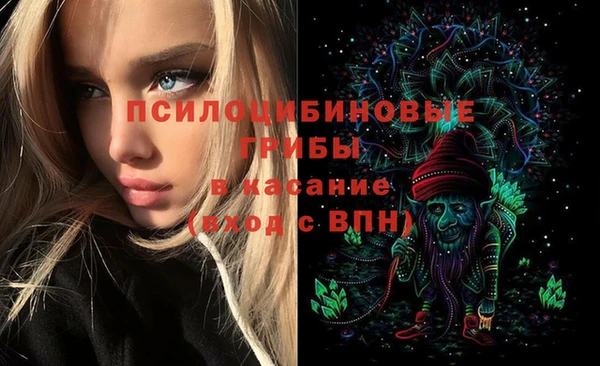 дмт Балахна