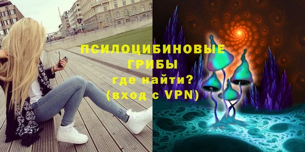 дмт Балахна