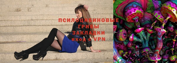 дмт Балахна