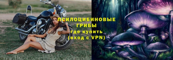 амф Аркадак