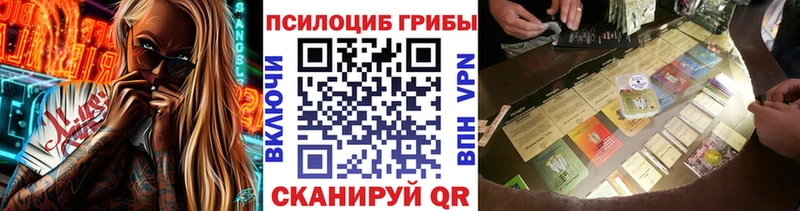 наркота  Барабинск  Галлюциногенные грибы GOLDEN TEACHER 